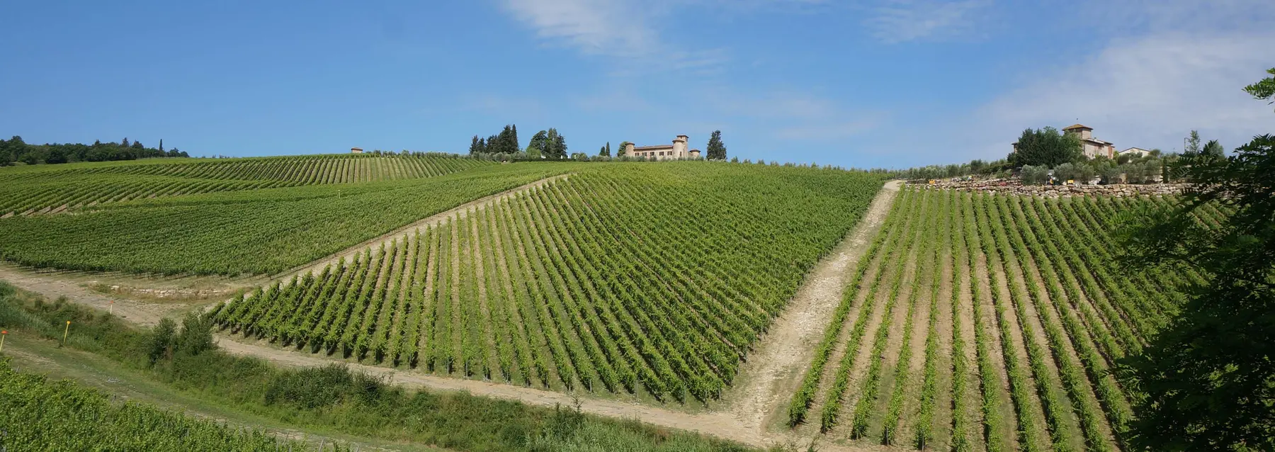Vigneti del Chianti