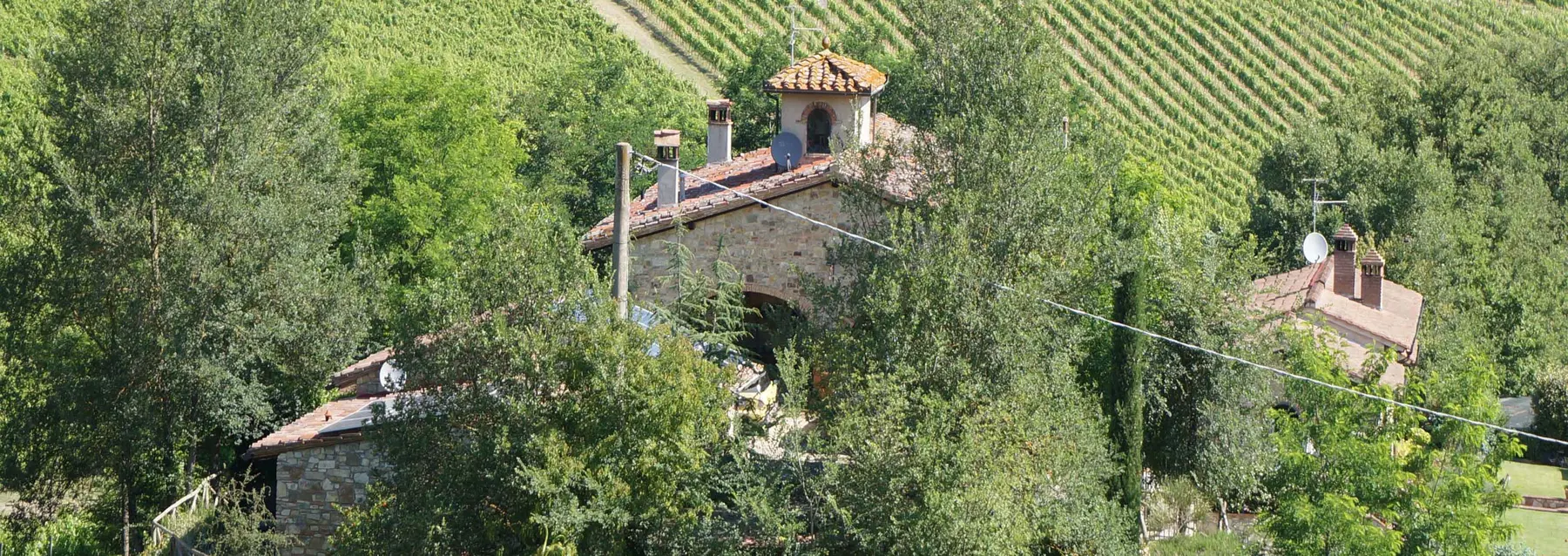 Vista sui vigneti del Chianti