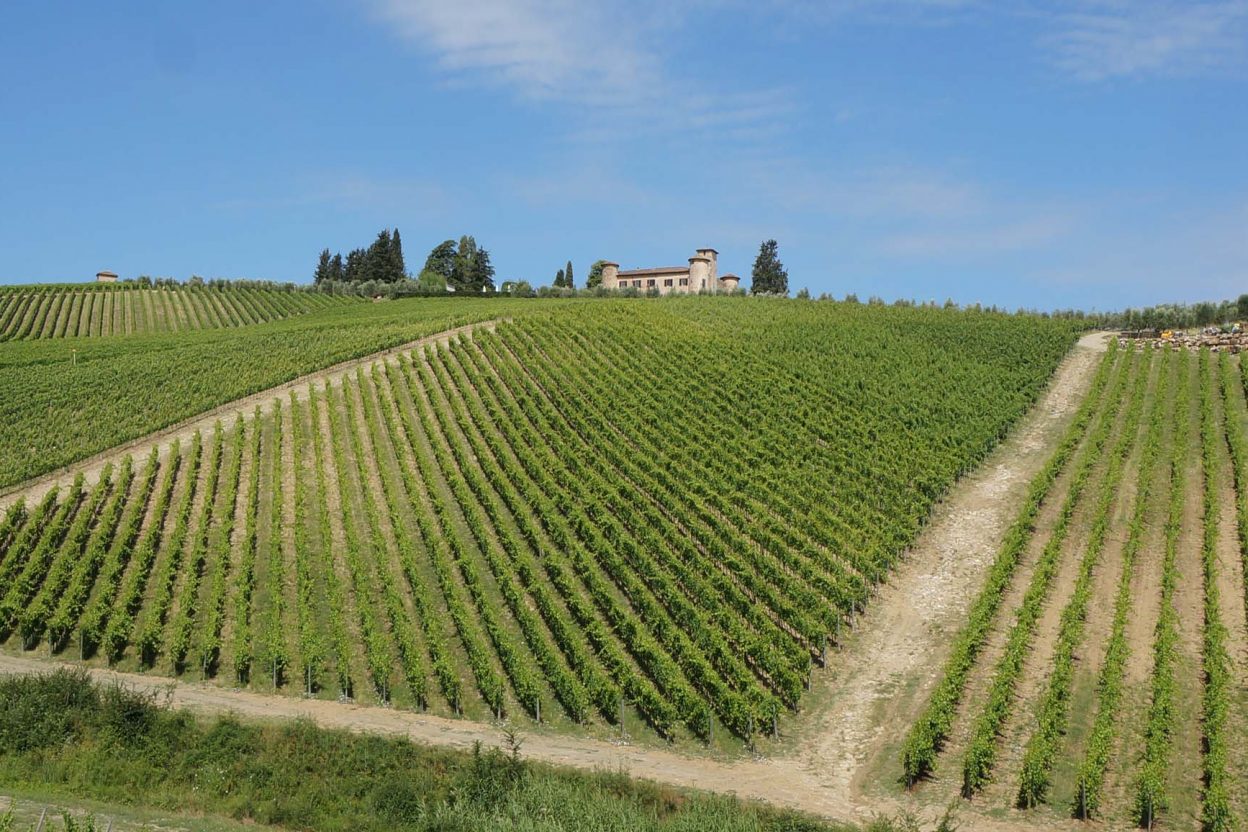 Vineyards