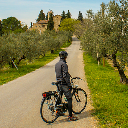 Chianti bike