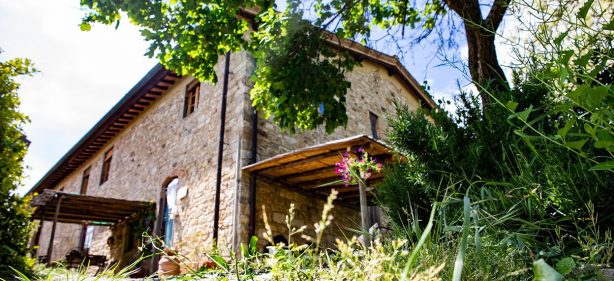 Casa San Angelo è una casa di campagna nel Chianti, ideale per ospitare gruppi numerosi che desiderino trascorrere un soggiorno vicino a Firenze, godendo appieno l’esperienza della tradizione toscana.